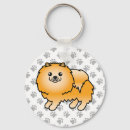 Pesquisar por pom pom pom chaveiros Pomerânia