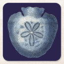 Pesquisar por iii Conchas marítimas