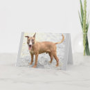 Pesquisar por de bull terrier cartoes Animal