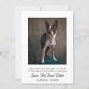 Pesquisar por engraçado da gravidez anúncio cartões Qualquer pessoa