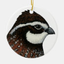 Pesquisar por perdiz ornamentos Codorniz