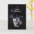 Pesquisar por witchy cartoes Halloween