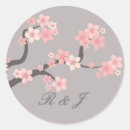Pesquisar por da flor cerejeira redondos casamento adesivos Sakura