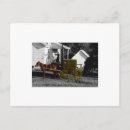 Pesquisar por cavalo pequeno cartoes postais Cavalos