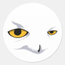 Pesquisar por olhos da coruja dos desenhos animados Animal