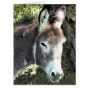 Pesquisar por asno cartoes Animal