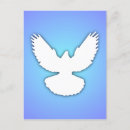 Pesquisar por pombo branco cartoes postais For her