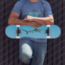 Pesquisar por do tubarão skates Tubarões