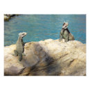 Pesquisar por iguana verde pôsteres Animal