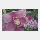 Pesquisar por orquídea roxa adesivos Roxo
