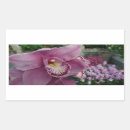 Pesquisar por orquídea roxa adesivos Floral