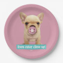 Pesquisar por pacifier engraçado do bebê Imprensa do avanti