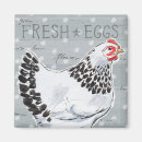 Pesquisar por painel imas Animais