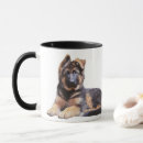 Pesquisar por melhor pastor canecas German shepherd