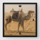Pesquisar por camelo fotografia Deserto