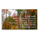 Pesquisar por árvores coloridas cartao de visita Floresta