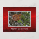 Pesquisar por esquilo do natal cartoes postais Pinho