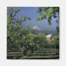 Pesquisar por mt hood imas Paisagem