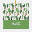 Pesquisar por cactus ornamentos Verde