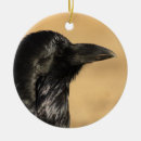 Pesquisar por corvos ornamentos Animal