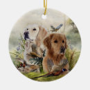 Pesquisar por labrador retriever ornamentos Animal