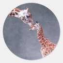 Pesquisar por girafa… adesivos Animais