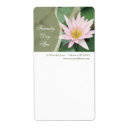 Pesquisar por lírios etiquetas Lírio de água