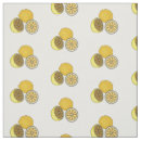 Pesquisar por limonada artesanato material Fruta