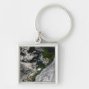 Pesquisar por de terra nova chaveiros Nuvens