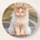 Pesquisar por foto do gato porta copos Animal de estimação