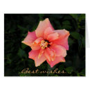 Pesquisar por cumprimento cor de rosa da flor Botânico