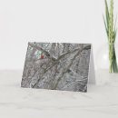 Pesquisar por pretty bird cartoes Red