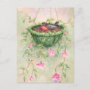 Pesquisar por birds cartoes postais Qualquer pessoa