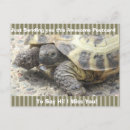 Pesquisar por animais p cartoes postais Natureza