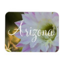 Pesquisar por ímãs do cacto imas Arizona