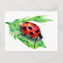 Pesquisar por lady bug cartoes postais Aquarela