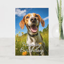 Pesquisar por foxhound cartoes Cães