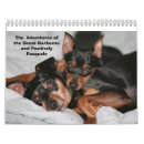 Pesquisar por pinscher diminuto Raça