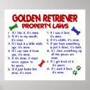 Pesquisar por golden retriever engraçado pôsteres Cães