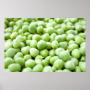 Pesquisar por orgânico fotografia Vegetal