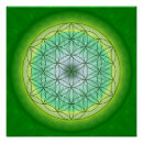 Pesquisar por mandalas pôsteres Reiki