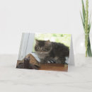 Pesquisar por joke cartoes convites Kitten