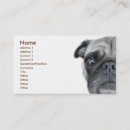 Pesquisar por pug cartao de visita Cães