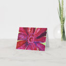 Pesquisar por gerbera cartoes Daisies