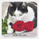 Pesquisar por gatinho preto branco adesivos Bonito