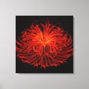 Pesquisar por painel impressão de canvas Vermelho
