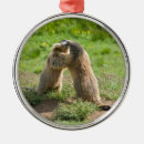 Pesquisar por marmota ornamentos Animal