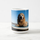 Pesquisar por cão do golden retriever canecas Horizontal