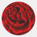Pesquisar por rosa vermelha adesivos Designer