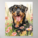 Pesquisar por rottweiler pósteres pôsteres Dogs